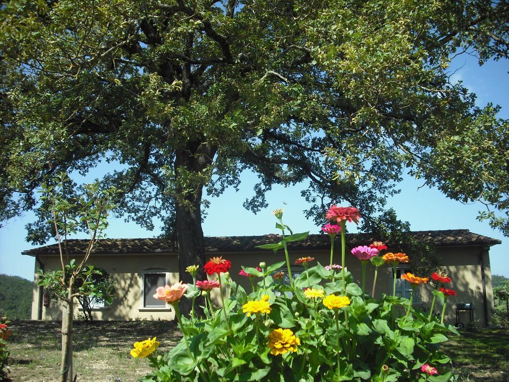Agriturismo La Scarpaia Anghiari Exterior foto