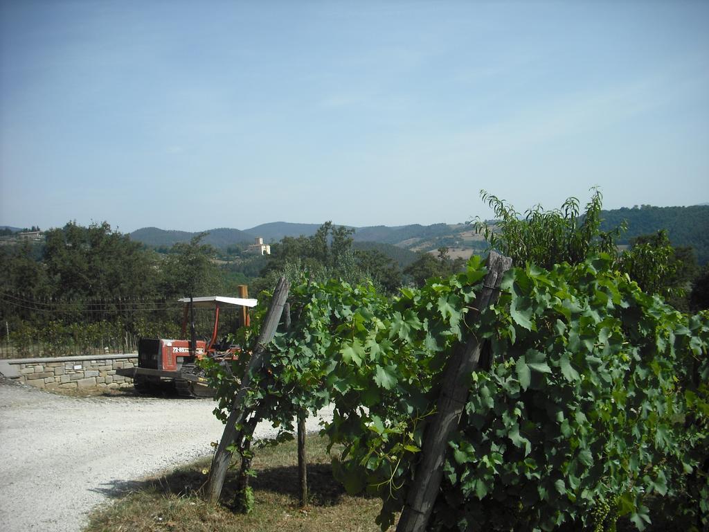 Agriturismo La Scarpaia Anghiari Exterior foto