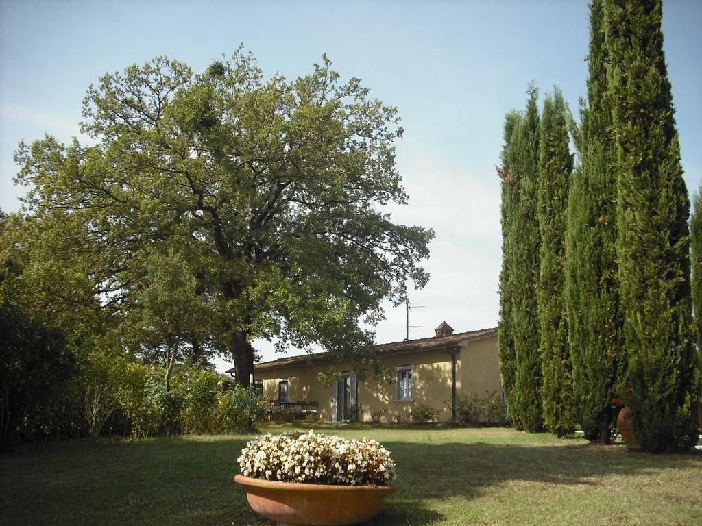 Agriturismo La Scarpaia Anghiari Exterior foto