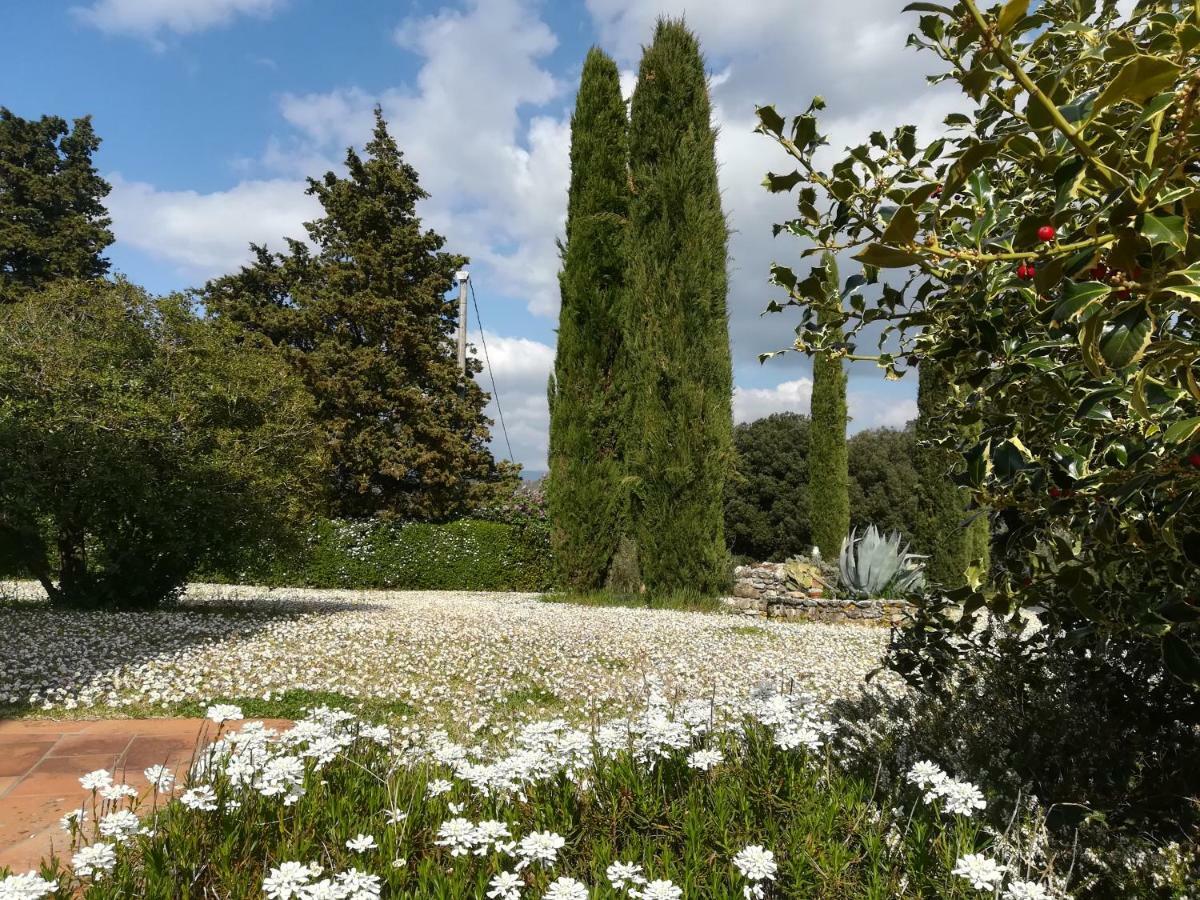 Agriturismo La Scarpaia Anghiari Exterior foto