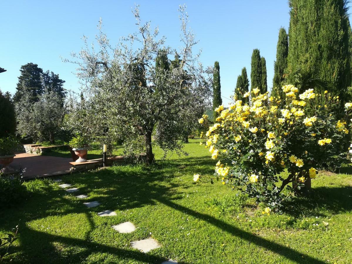 Agriturismo La Scarpaia Anghiari Exterior foto